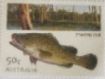 Murray Cod Stamp